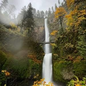 Meet your Posher, Faye